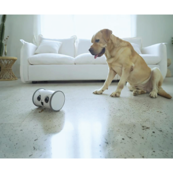 Dispensador interactivo de robot de búho con cámara para mascotas - Image 2