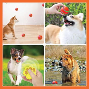 Pelota de juguete para perros con control remoto - Image 4