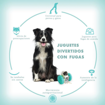 Juguete interactivo dispensado - Image 3
