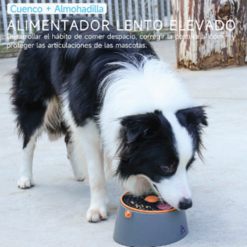 Juguetes para Perro 3 en 1 - Image 4